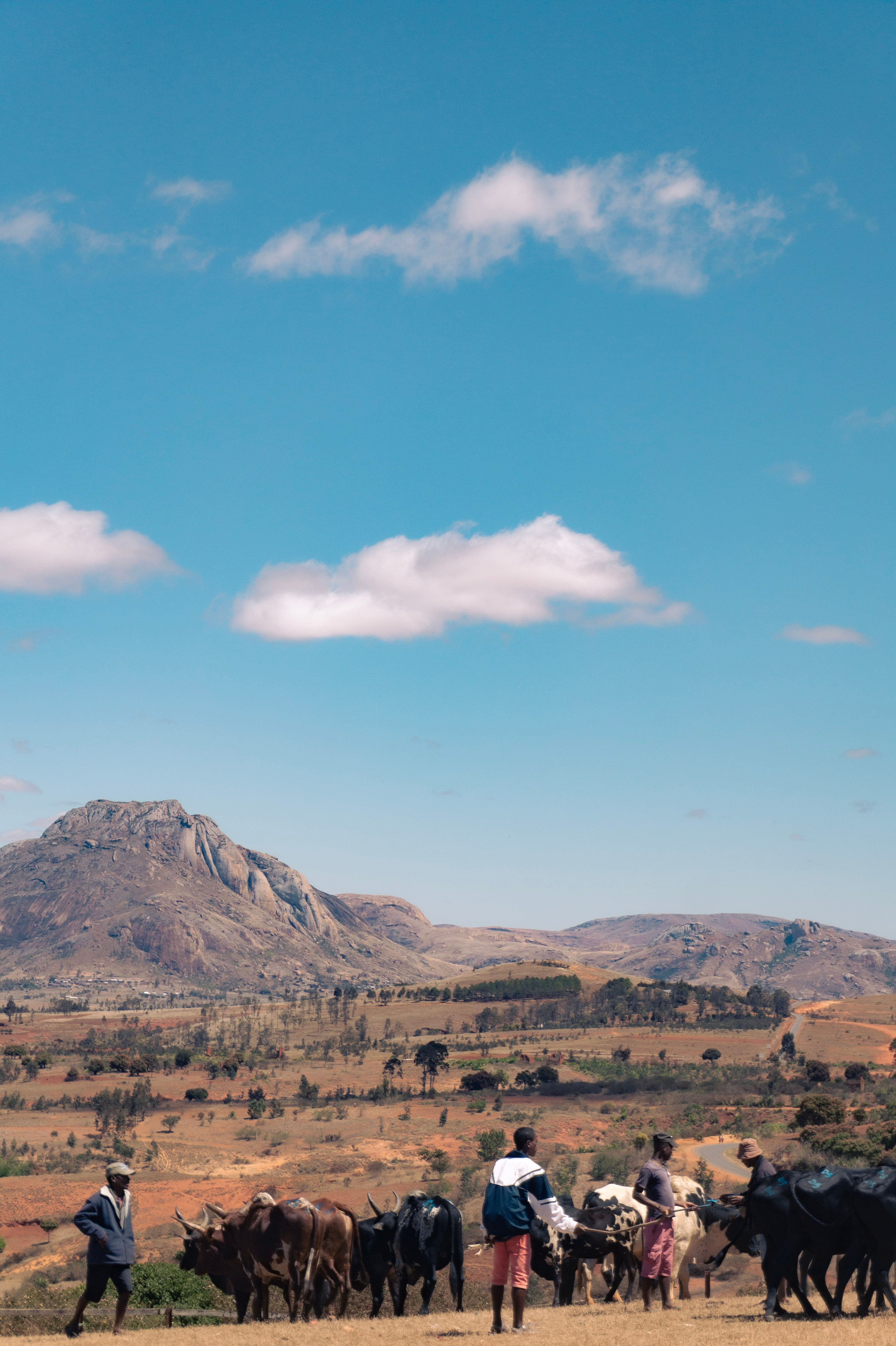 Farming in Africa