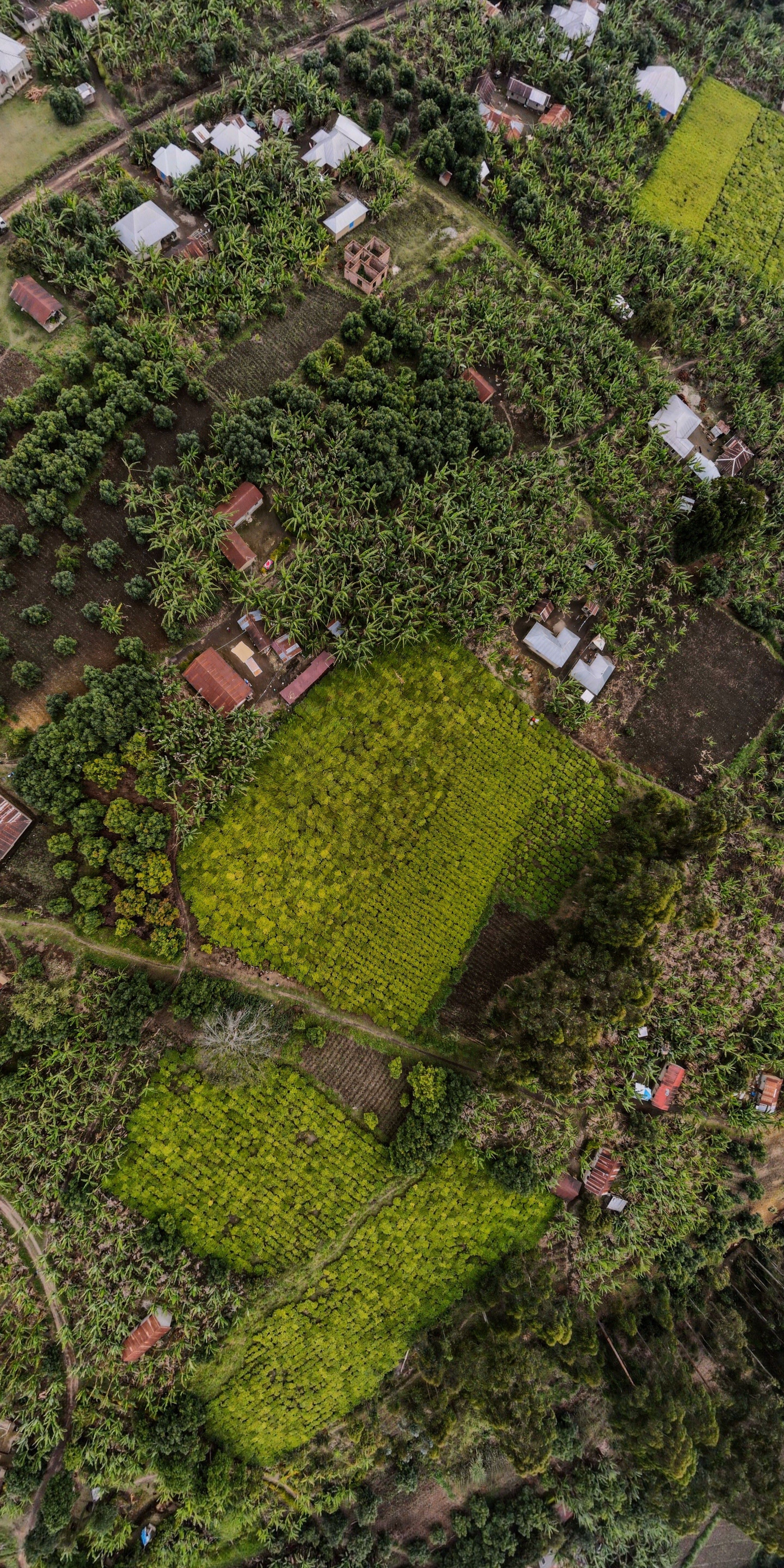 Farming in Africa